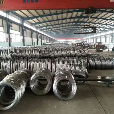 Vente en gros de fil d'acier inoxydable de 0,035 mm avec norme et longueur AiSi selon la demande du client